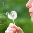 Mýty, domněnky nebo babské rady mohou v případě alergií napáchat více škody než užitku.